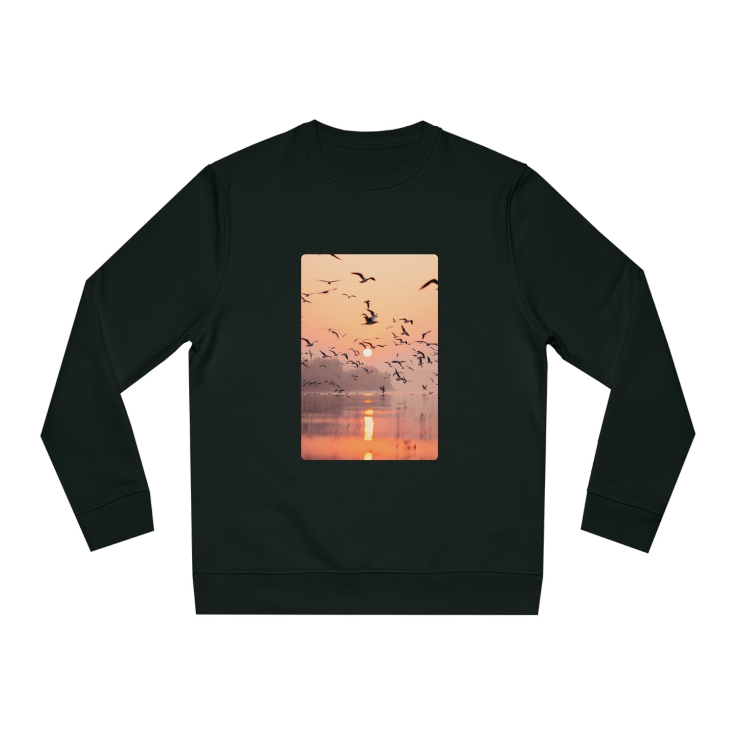 Sunlit Flight - Sweatshirt